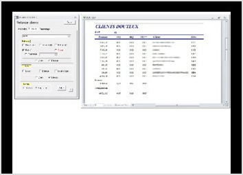 J ai realise pour le compte d un grand groupe american, une application sous Microsoft Access, leur permettant, apres extraction de leurs donnees de l AS/400, de gerer les relances clients en fonction de leurs equipes commerciales des dates d echeances, etc.
Cette application a ete developpee en 1 mois en eXtreme Programming avec une directrice financiere.
